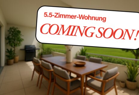 Moderne, helle 5.5 Zimmer-Wohnung mit 35,5 m² grosser Terrasse