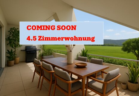 Moderne, helle 4.5 Zimmer-Wohnung mit einer grossen Terrasse