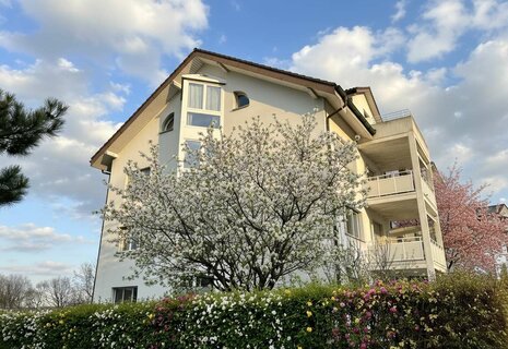 2.5-Zimmer-Wohnung mit Raum für Ideen